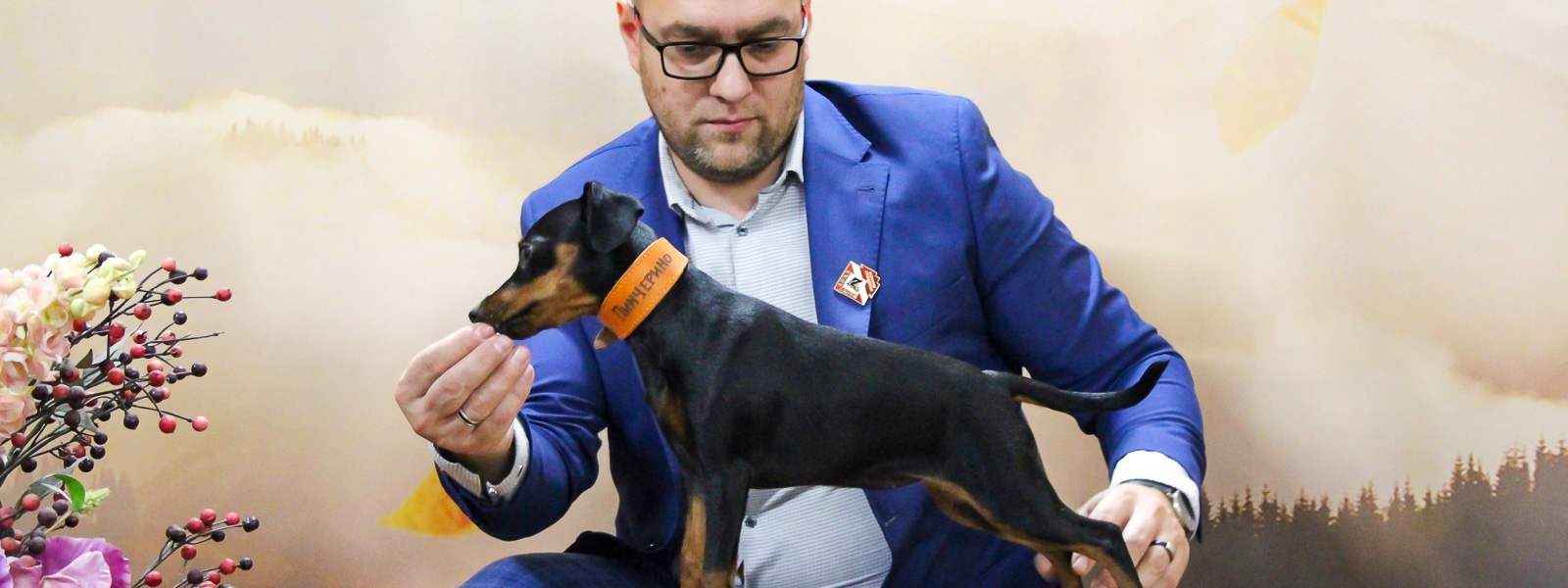 Немецкий пинчер NALEKS TREASURE TSEREN