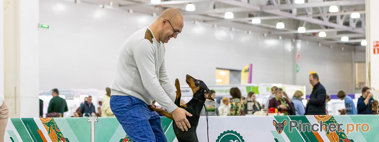 Ноузворк в питомнике Пинчерино