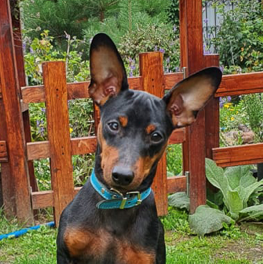 Чуи (Екатеринбург)