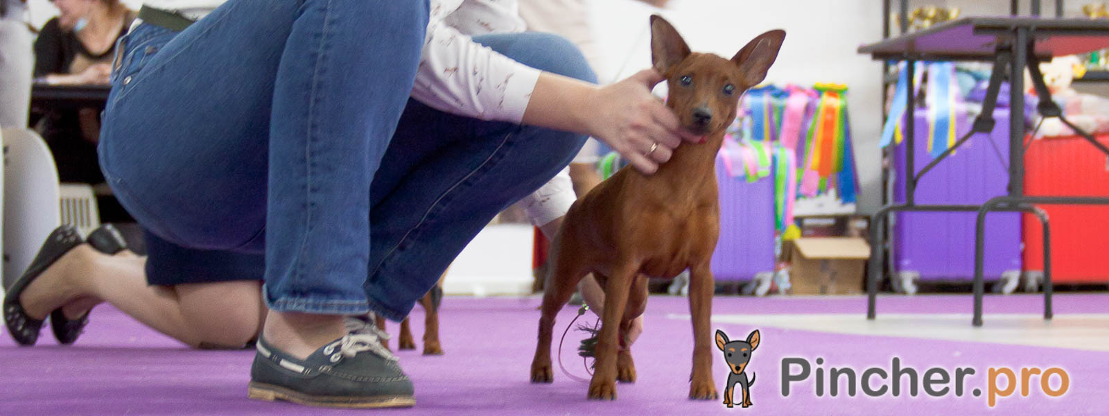 Первая выставка Diamond Egoist Intriga-Impresia