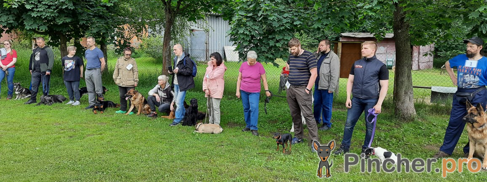 Собака – ничего не бояка!