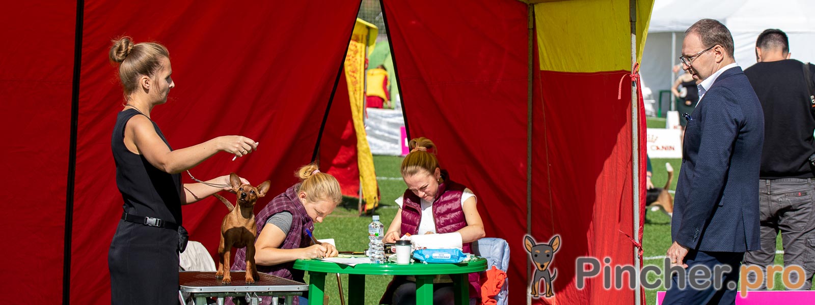 Кубок Золотого Кольца (CACIB), г. Суздаль