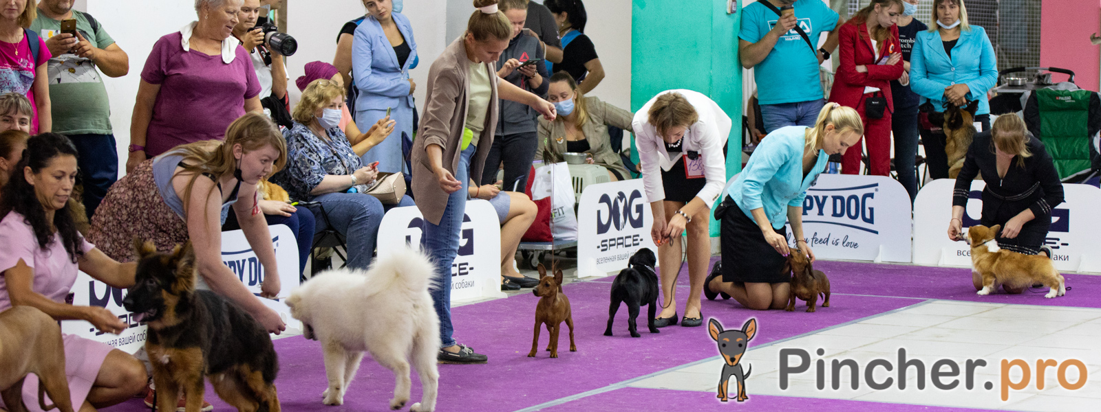 Гуги - чемпион!